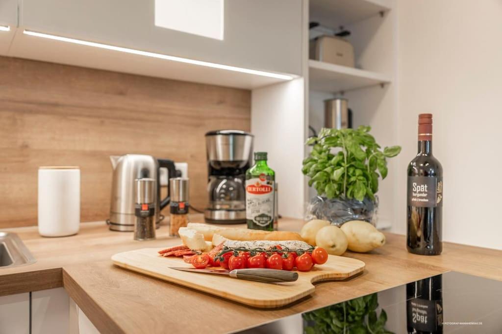 Xxl Design-Appartement Highdesign 10 Pers Zentral Naehe Heidelberg Und Mannheim Weinheim Εξωτερικό φωτογραφία